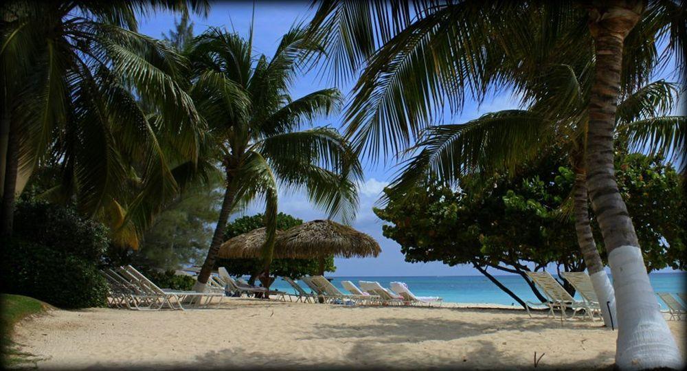 Caribbean Club Boutique Hotel, Grand Cayman Dog City Extérieur photo