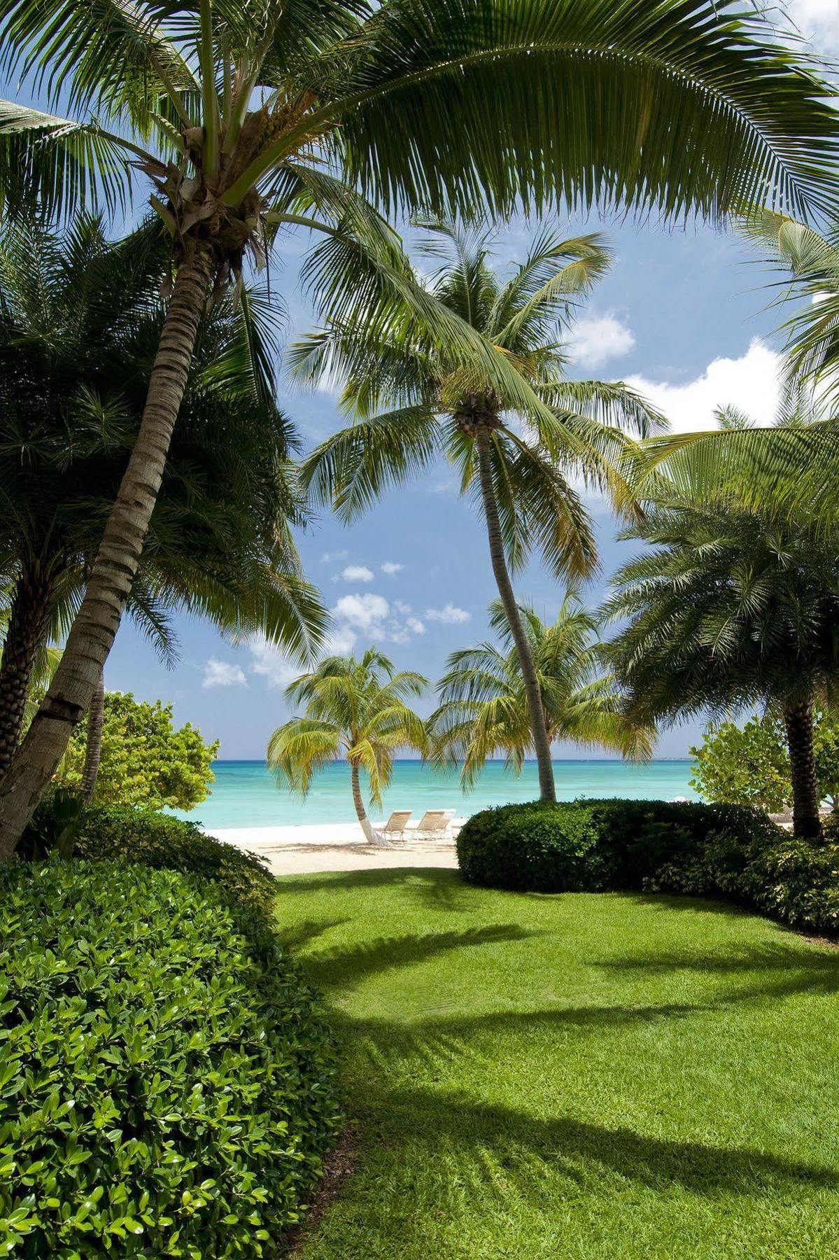 Caribbean Club Boutique Hotel, Grand Cayman Dog City Extérieur photo